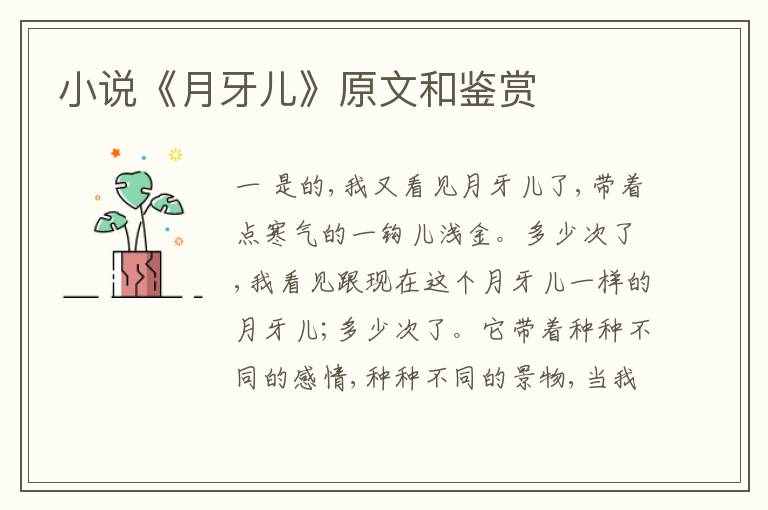  小说《月牙儿》原文和鉴赏
