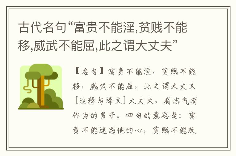  古代名句“富贵不能淫,贫贱不能移,威武不能屈,此之谓大丈夫”注释与译文