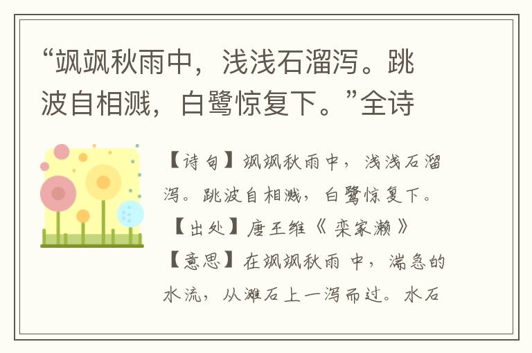 “飒飒秋雨中,浅浅石溜泻。跳波自相溅,白鹭惊复下。”全诗,翻译,意思,上一句和下一句