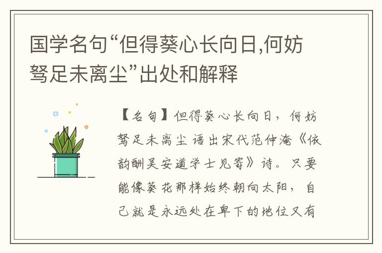  国学名句“但得葵心长向日,何妨驽足未离尘”出处和解释