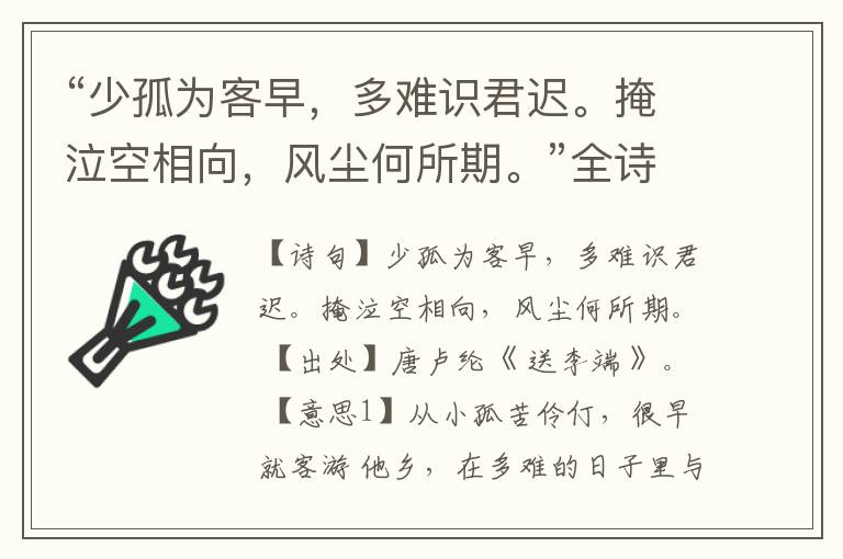 “少孤为客早,多难识君迟。掩泣空相向,风尘何所期。”全诗,翻译,意思,上一句和下一句