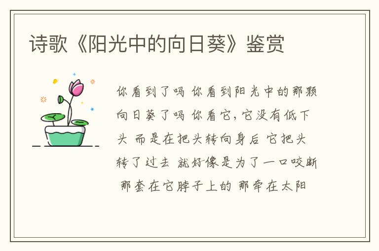  诗歌《阳光中的向日葵》鉴赏