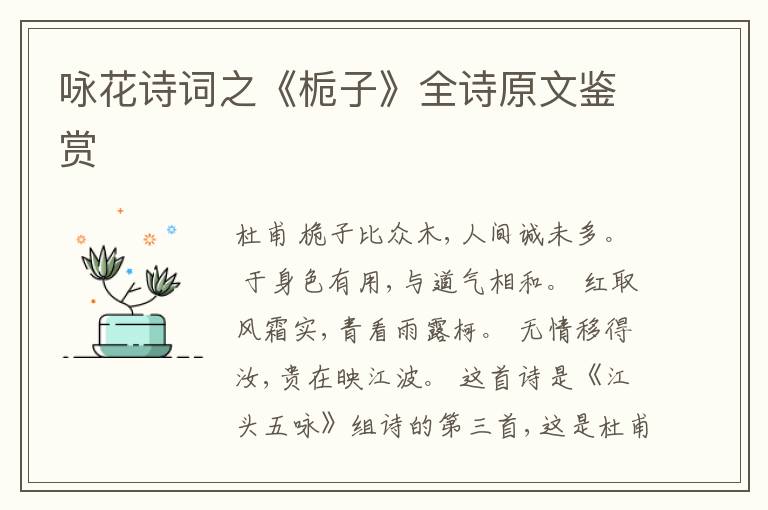  咏花诗词之《栀子》全诗原文鉴赏