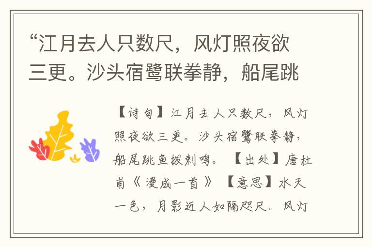  “江月去人只数尺，风灯照夜欲三更。沙头宿鹭联拳静，船尾跳鱼拨剌鸣。”全诗,翻译,意思,上一句和下一句