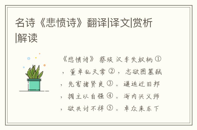  名诗《悲愤诗》翻译|译文|赏析|解读