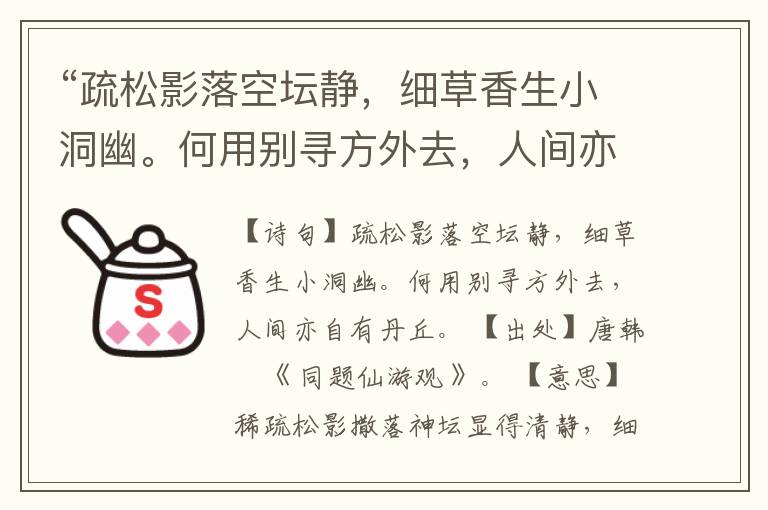  “疏松影落空坛静，细草香生小洞幽。何用别寻方外去，人间亦自有丹丘。”全诗,翻译,意思,上一句和下一句