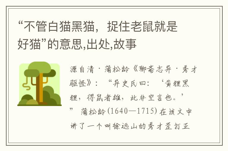  “不管白猫黑猫，捉住老鼠就是好猫”的意思,出处,故事