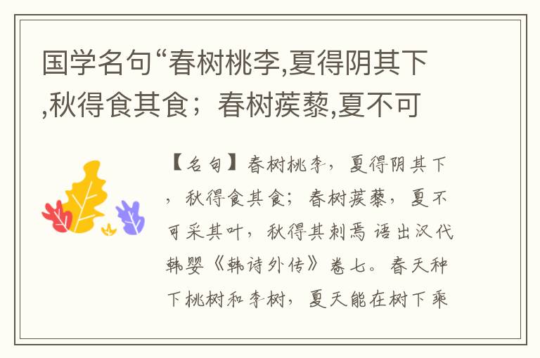  国学名句“春树桃李,夏得阴其下,秋得食其食；春树蒺藜,夏不可采其叶,秋得其刺焉”出处和解释