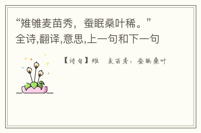 “雉雊麦苗秀,蚕眠桑叶稀。”全诗,翻译,意思,上一句和下一句