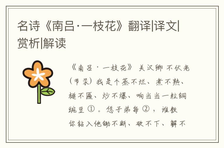  名诗《南吕·一枝花》翻译|译文|赏析|解读
