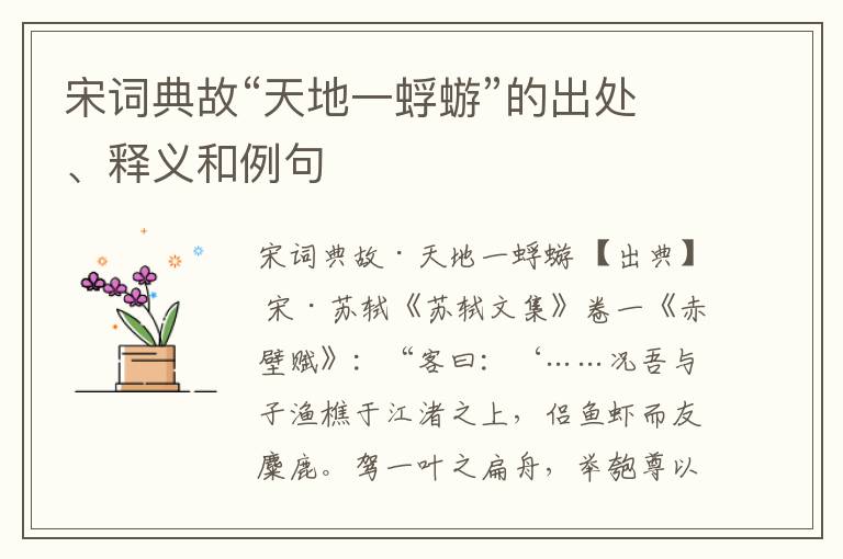  宋词典故“天地一蜉蝣”的出处、释义和例句
