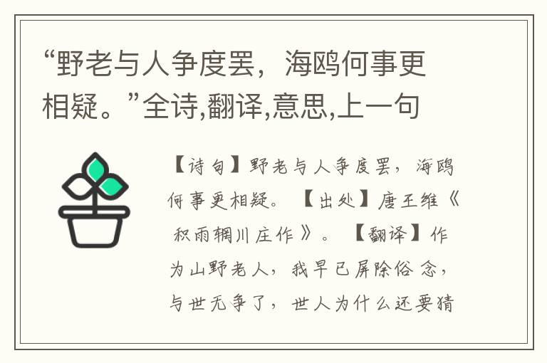  “野老与人争度罢，海鸥何事更相疑。”全诗,翻译,意思,上一句和下一句