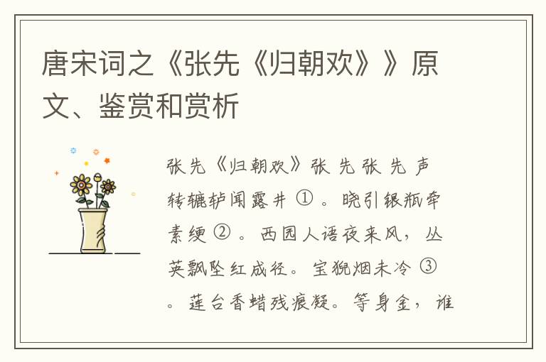  唐宋词之《张先《归朝欢》》原文、鉴赏和赏析