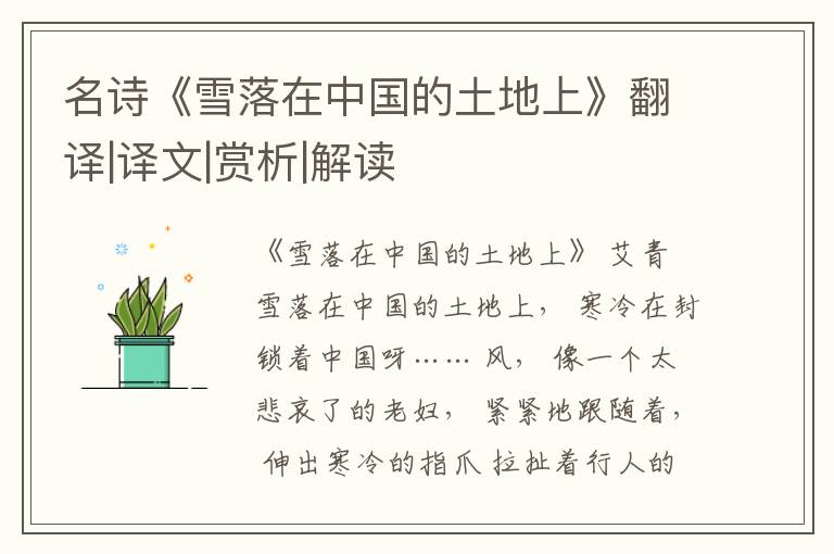  名诗《雪落在中国的土地上》翻译|译文|赏析|解读