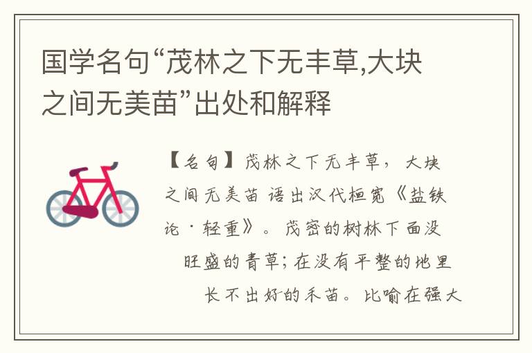  国学名句“茂林之下无丰草,大块之间无美苗”出处和解释