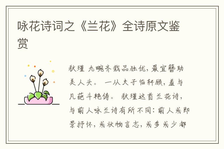  咏花诗词之《兰花》全诗原文鉴赏