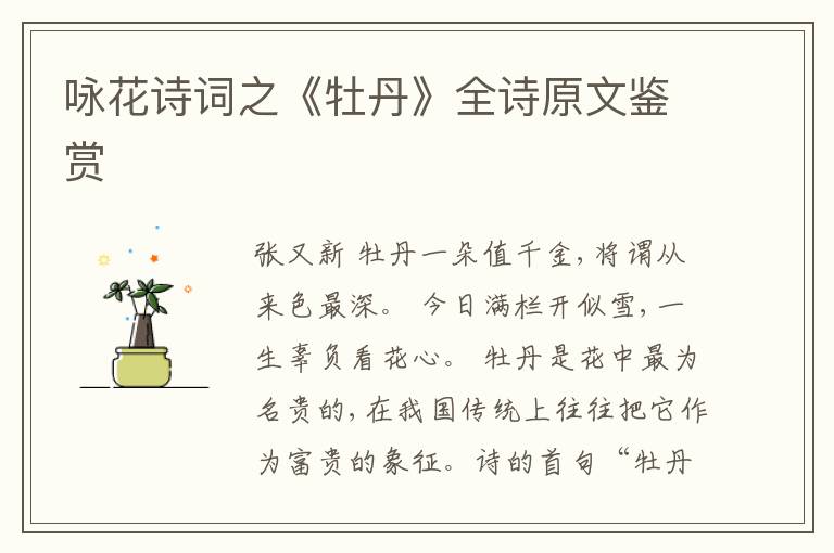  咏花诗词之《牡丹》全诗原文鉴赏