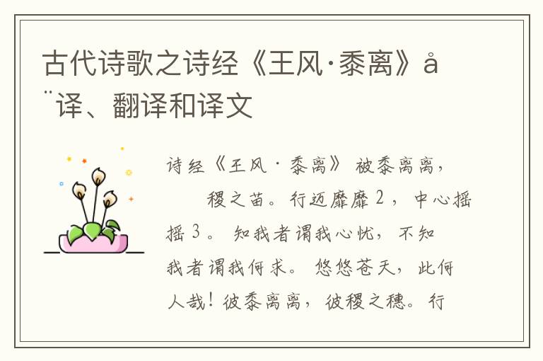 古代诗歌之诗经《王风·黍离》全译、翻译和译文
