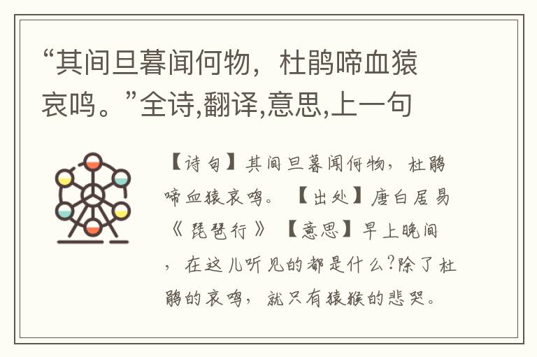  “其间旦暮闻何物，杜鹃啼血猿哀鸣。”全诗,翻译,意思,上一句和下一句