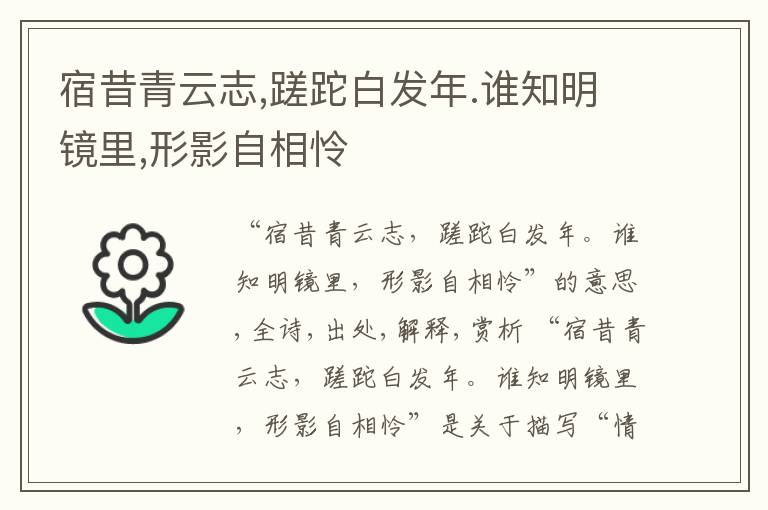  宿昔青云志,蹉跎白发年.谁知明镜里,形影自相怜