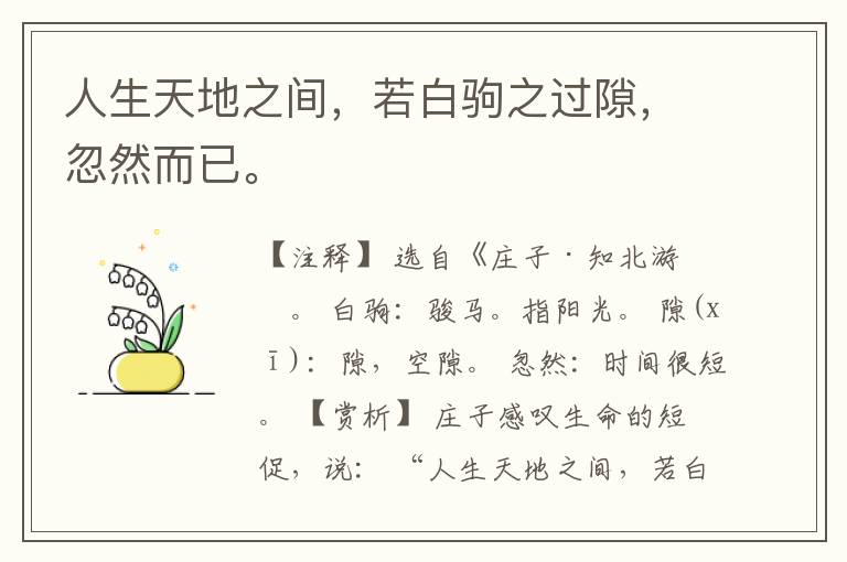  人生天地之间，若白驹之过隙，忽然而已。