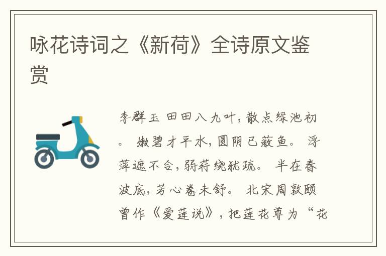  咏花诗词之《新荷》全诗原文鉴赏