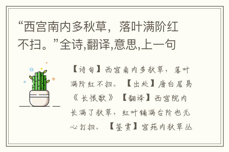  “西宫南内多秋草，落叶满阶红不扫。”全诗,翻译,意思,上一句和下一句