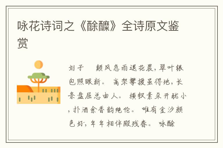  咏花诗词之《酴醾》全诗原文鉴赏