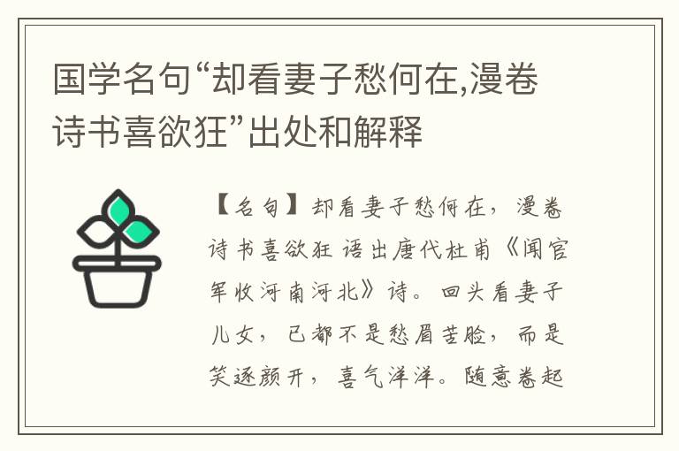 国学名句“却看妻子愁何在,漫卷诗书喜欲狂”出处和解释