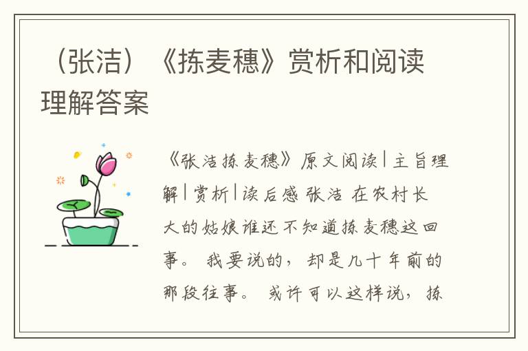  （张洁）《拣麦穗》赏析和阅读理解答案