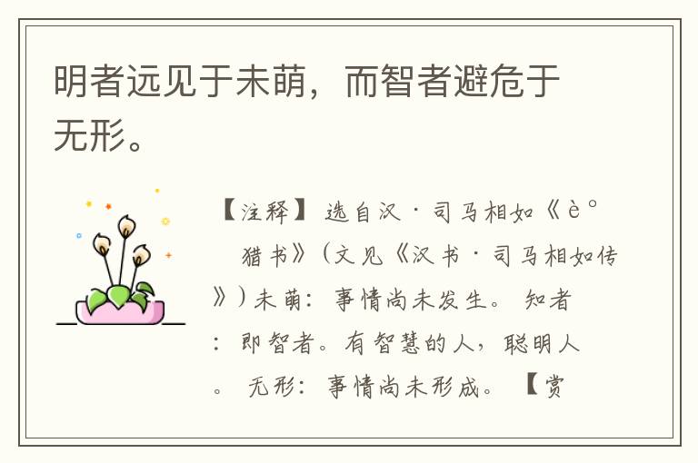  明者远见于未萌，而智者避危于无形。