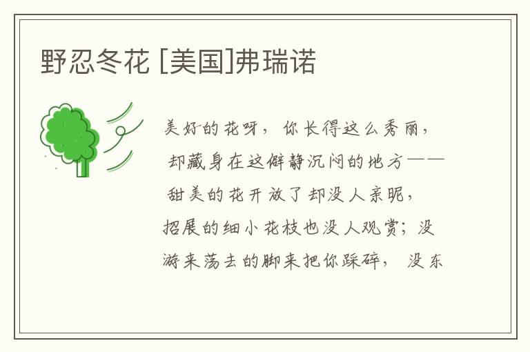  野忍冬花 [美国]弗瑞诺