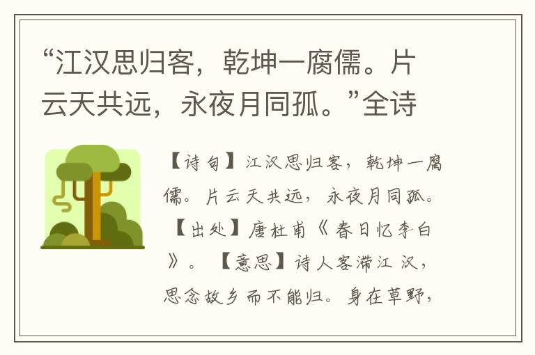 “江汉思归客,乾坤一腐儒。片云天共远,永夜月同孤。”全诗,翻译,意思,上一句和下一句