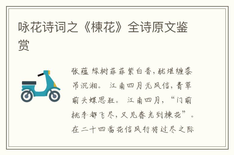 咏花诗词之《楝花》全诗原文鉴赏