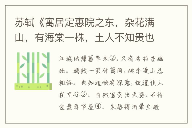  苏轼《寓居定惠院之东，杂花满山，有海棠一株，土人不知贵也》注释和评析