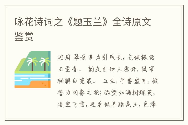  咏花诗词之《题玉兰》全诗原文鉴赏