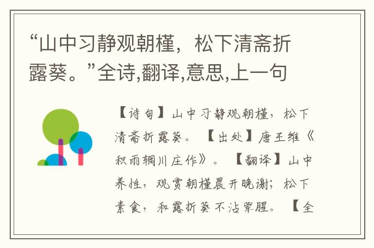  “山中习静观朝槿，松下清斋折露葵。”全诗,翻译,意思,上一句和下一句