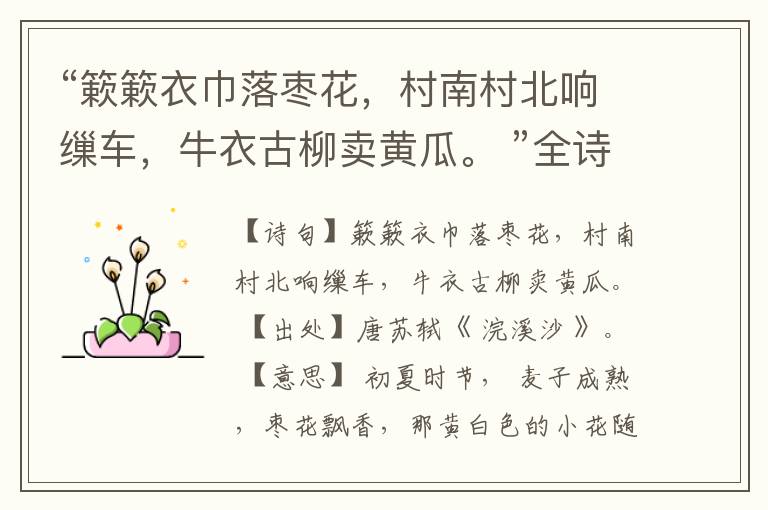 “簌簌衣巾落枣花,村南村北响缫车,牛衣古柳卖黄瓜。 ”全诗,翻译,意思,上一句和下一句