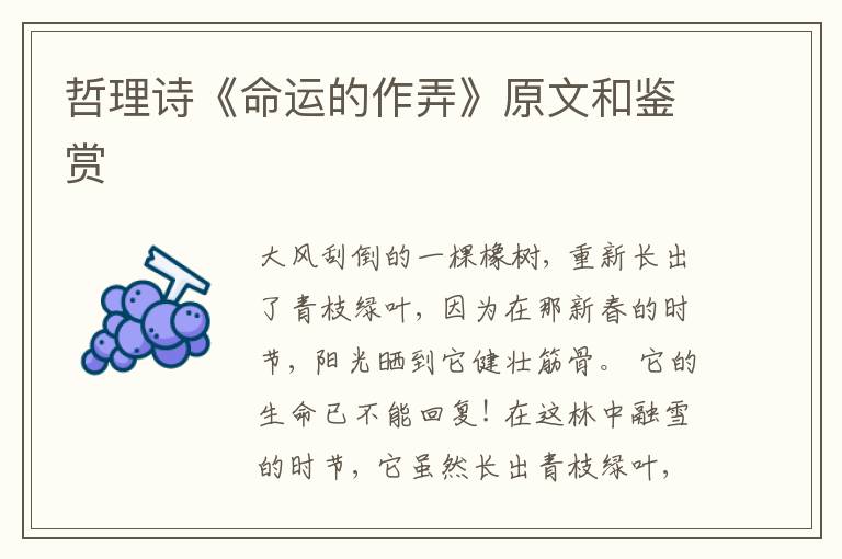  哲理诗《命运的作弄》原文和鉴赏