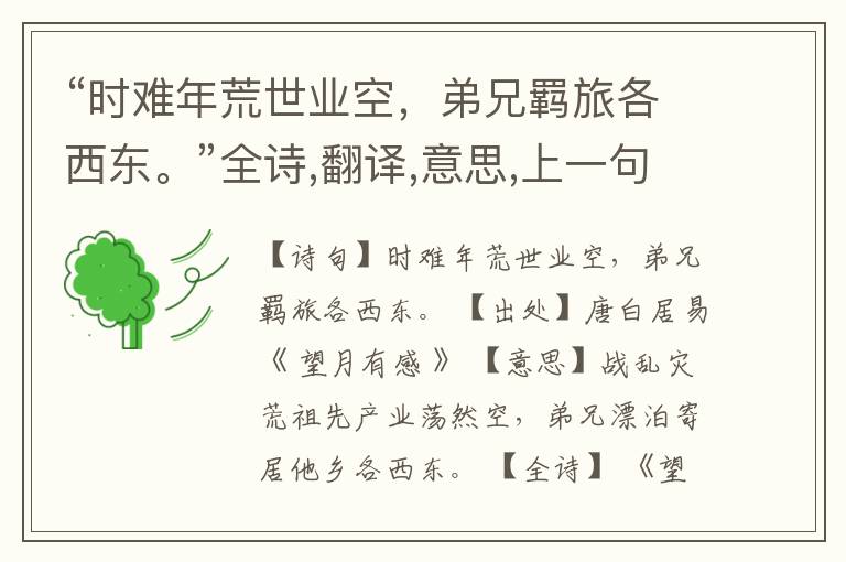  “时难年荒世业空，弟兄羁旅各西东。”全诗,翻译,意思,上一句和下一句