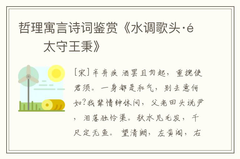  哲理寓言诗词鉴赏《水调歌头·送太守王秉》