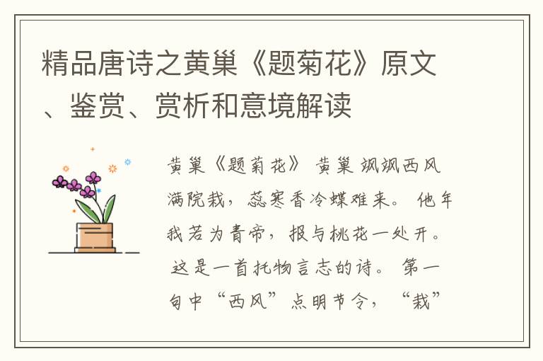  精品唐诗之黄巢《题菊花》原文、鉴赏、赏析和意境解读