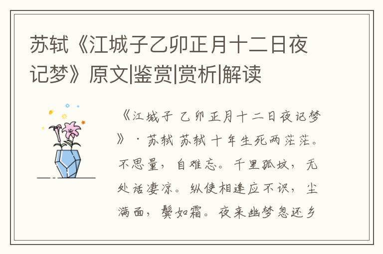  苏轼《江城子乙卯正月十二日夜记梦》原文|鉴赏|赏析|解读