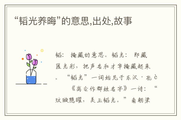  “韬光养晦”的意思,出处,故事