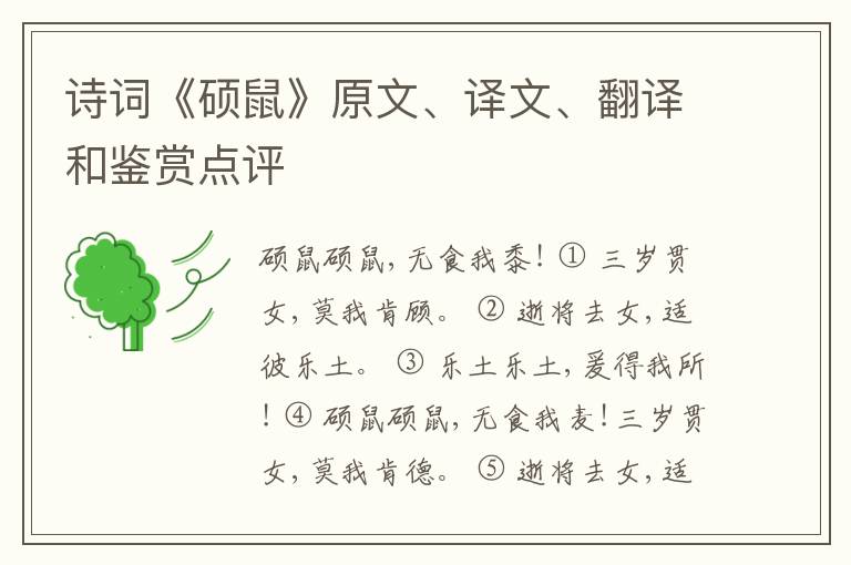  诗词《硕鼠》原文、译文、翻译和鉴赏点评