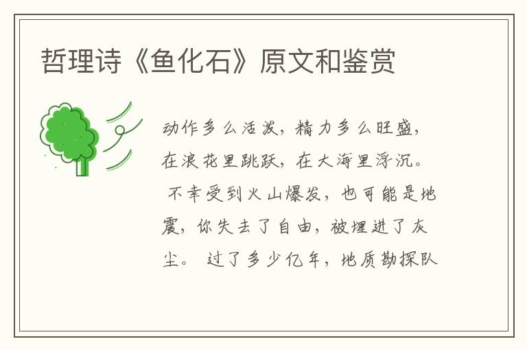  哲理诗《鱼化石》原文和鉴赏