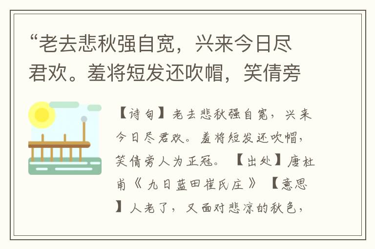 “老去悲秋强自宽，兴来今日尽君欢。羞将短发还吹帽，笑倩旁人为正冠。”全诗,翻译,意思,上一句和下一句
