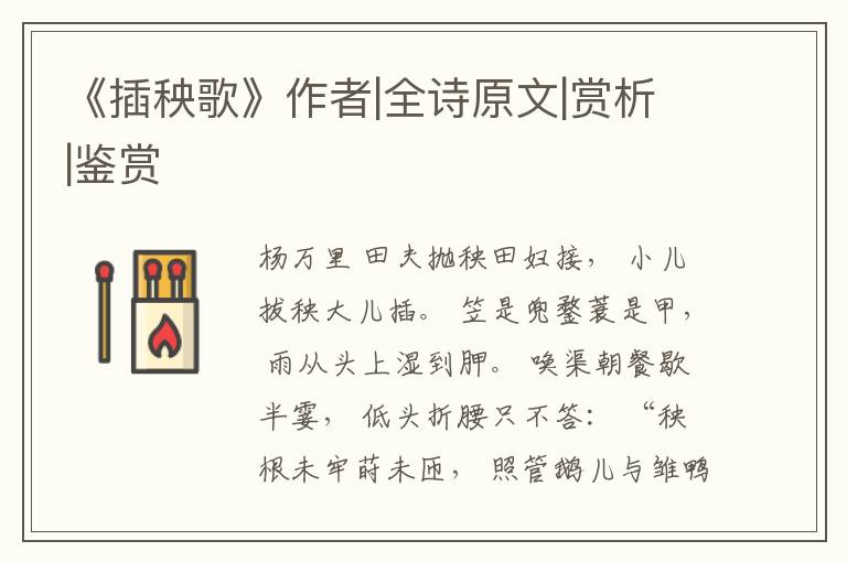 《插秧歌》作者|全诗原文|赏析|鉴赏