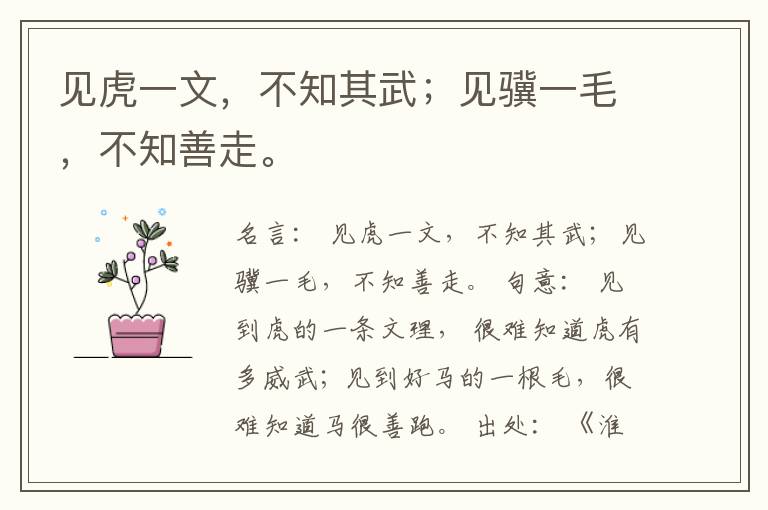  见虎一文，不知其武；见骥一毛，不知善走。