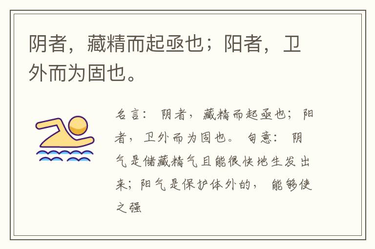  阴者，藏精而起亟也；阳者，卫外而为固也。